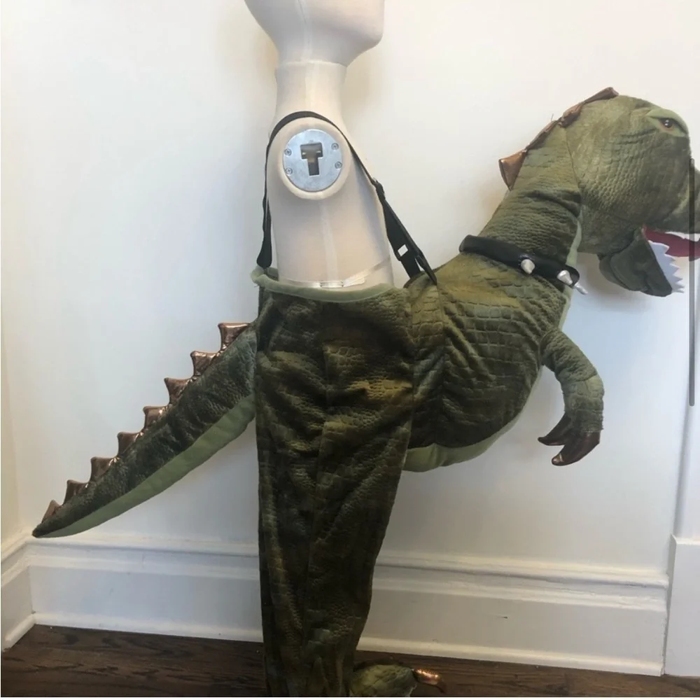 Dinosaur 3D Plush Kids Costume Halloween Rawrs With a Button Ride On